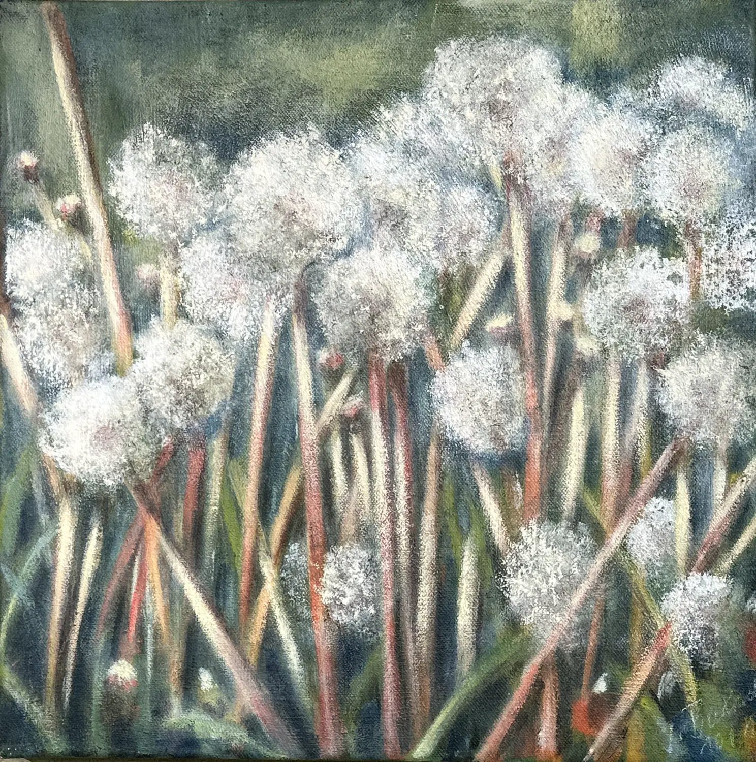 Pusteblumen Acryl Sand von Ines Burkhardt