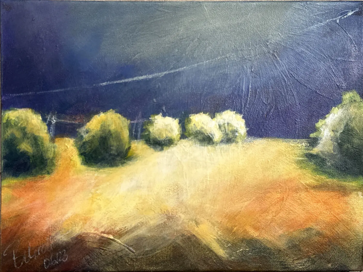 Vor dem Gewitter Acryl von Ines Burkhardt