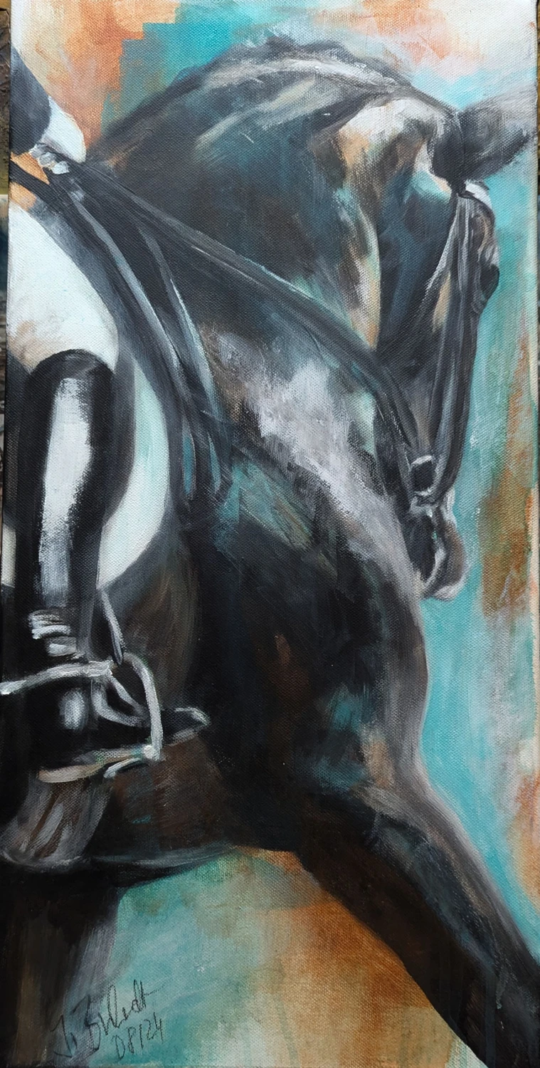 Dressur Acryl 30x60