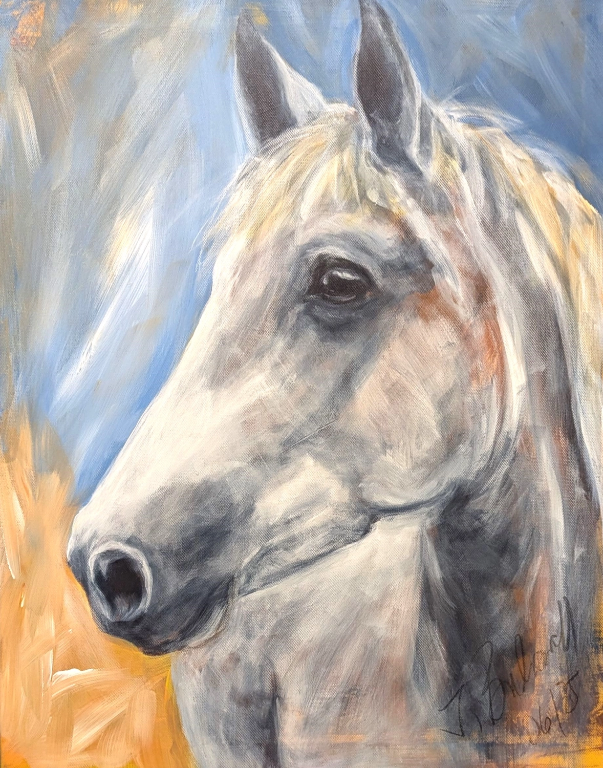 Dressur Acryl 30x60