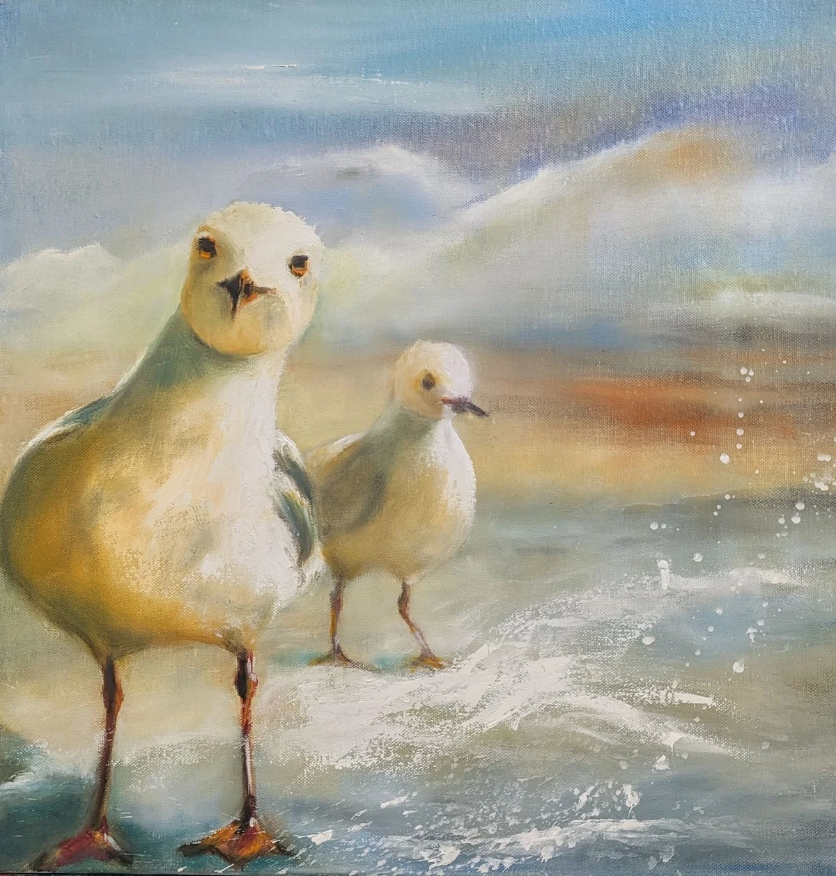 Dressur Acryl 30x60
