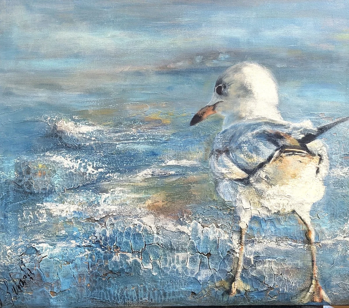Dressur Acryl 30x60