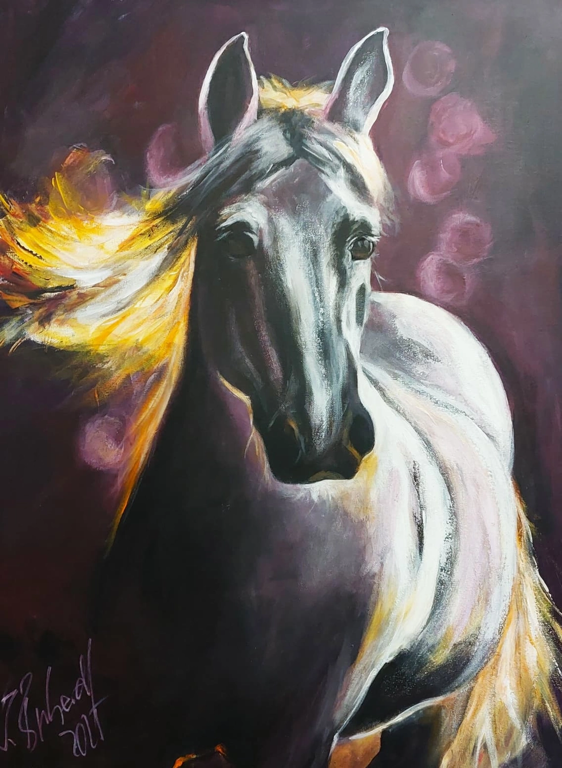 Dressur Acryl 30x60