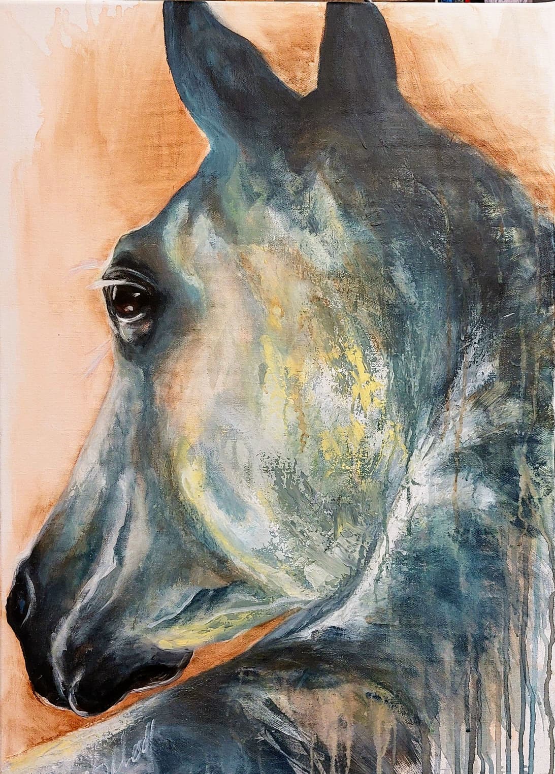 Dressur Acryl 30x60