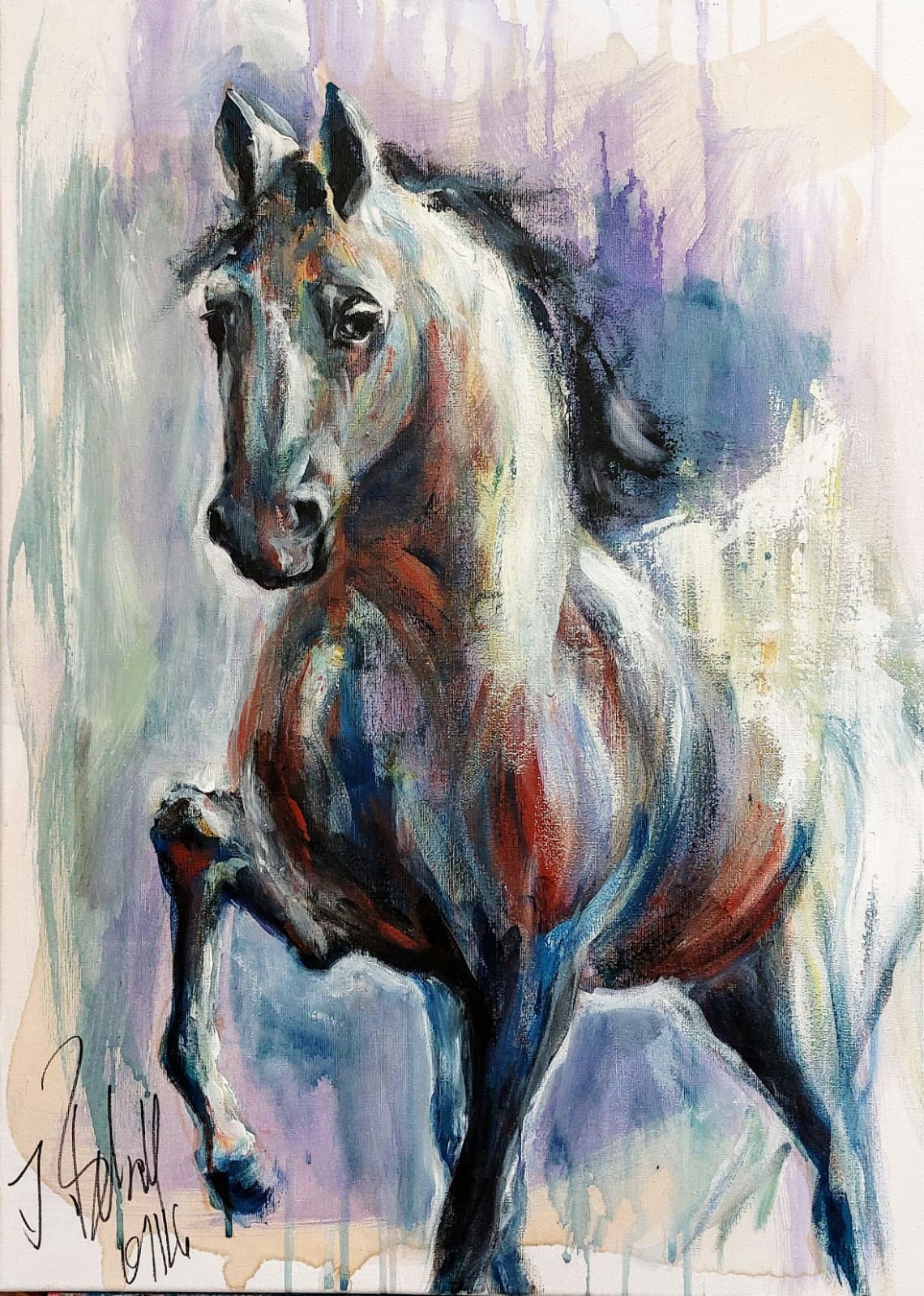 Dressur Acryl 30x60